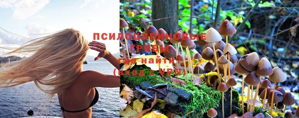соль курить ск Верхний Тагил