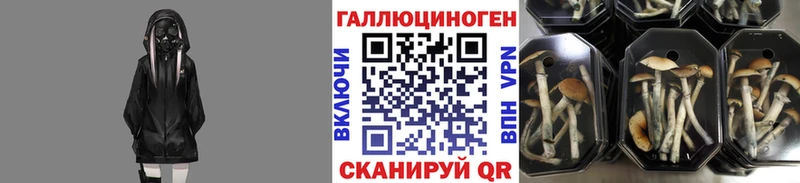 Псилоцибиновые грибы ЛСД  Дзержинск 