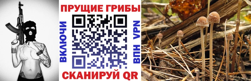 Галлюциногенные грибы мухоморы Дзержинск